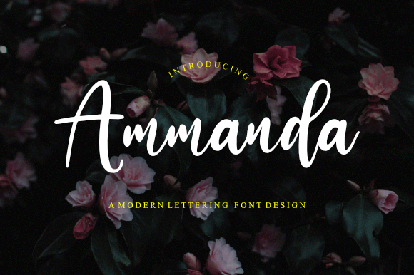 Ammanda Font for Branding That Feels Personal and Polished