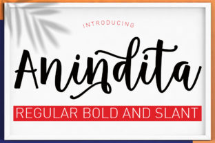 Anindita: A Playful Script Font for Digital Branding