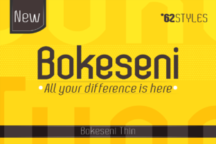 Bokeseni Thin for Modern Campaigns