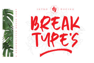 Break Types: A Handwritten Font for Polished Branding