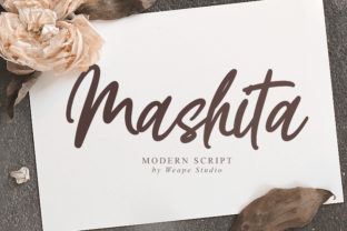 Mashita Font for Web Design and Branding