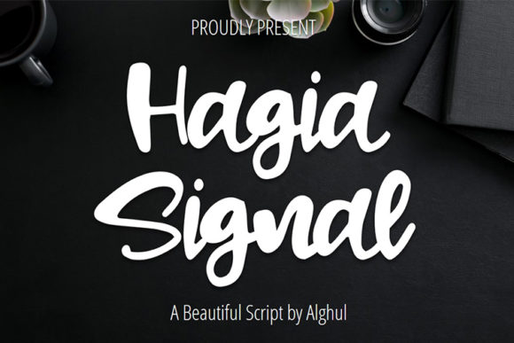 Testing Hagia Signal in a Real Web Design Project