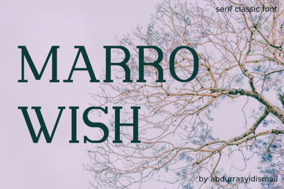 Testing Marrowish for a Modern Web Design Project